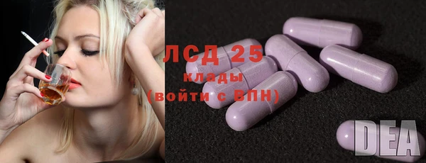 стаф Алзамай