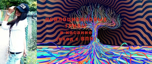 тгк Алексеевка