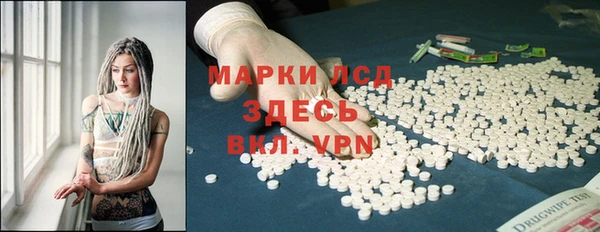 стаф Алзамай